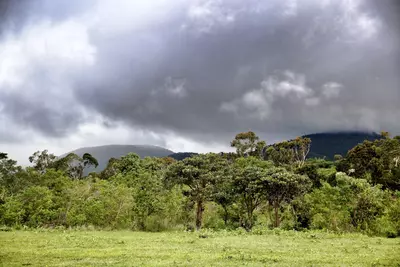 Iringa
